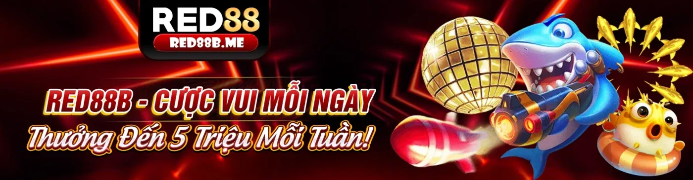 Sòng bạc trực tuyến Sodo19 với người chia bài trực tiếp